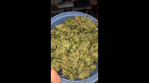 two buds in a jar grow