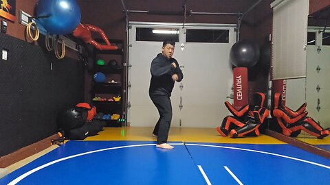 WTD Mantis Kick to Hook Kick sequential