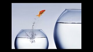 Hypergamy Part 1 It's Existence & AWALT