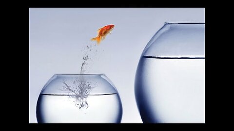 Hypergamy Part 1 It's Existence & AWALT