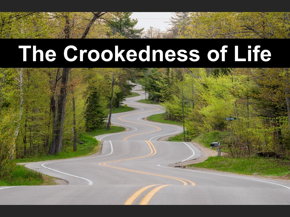 Life Under the Sun -part 11