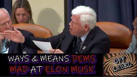 Ways & Means Dems Become OUTRAGED Over Elon Musk. Full Hearing.