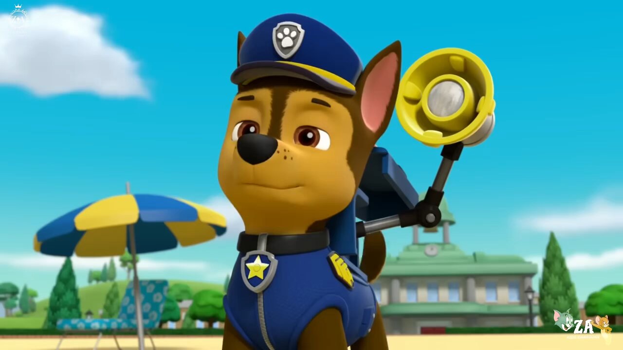 PAW Patrol Cartoons