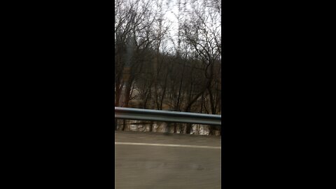 Flood