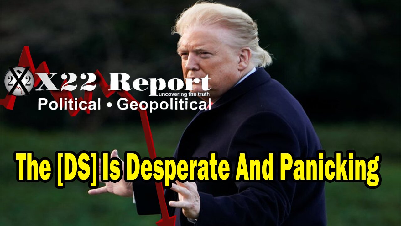 Dave Report Situation Update: The [DS] Is Panicking, How Do You Bypass The Corrupt Judges?