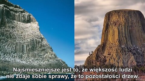 GIGANTYCZNA ZIEMIA I GIGANCI WIELKIE DRZEWA NEFILIM PŁASKA ZIEMIA NWK24 FLAT EARTH DUŻE NAPISY PL
