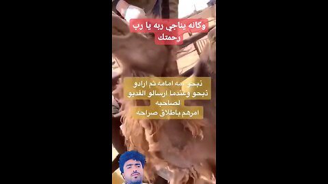 يا رب اقم ساعة