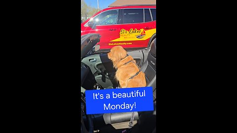 A Beautiful day overrides the Monday blahs!