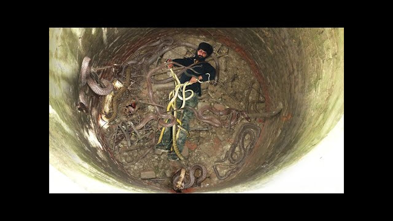 "An astonishing act caught on camera — this man surrounded by venomous snakes in a well! 😱"