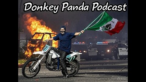 Rumble in LA: Donkey Panda on the ICE Riots