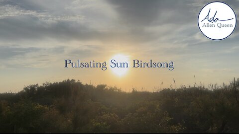 Ada Alien Queen • Bird Songs • Take #00010 • Pulsating Sun Birdsong