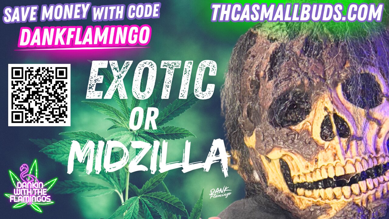 Is Grape Soda from THCA Small Buds EXOTIC or just MIDZILLA?! Dankin With The Flamingos. Review!
