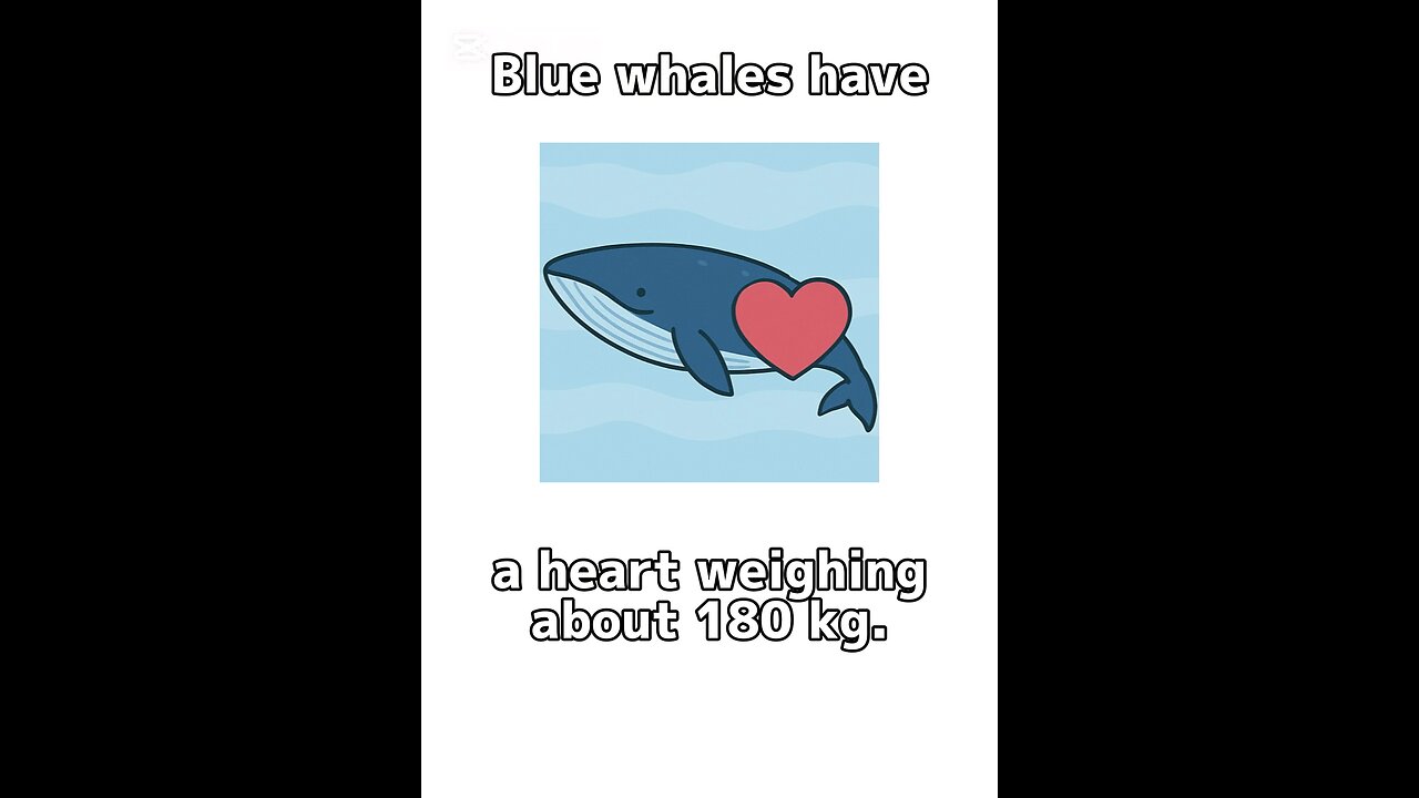 Miscellaneous information about blue whales