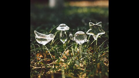 Glass Self Watering Bulbs, with Cute Clear Design, for Indoor, Hanging, Patio, Outdoors Plants