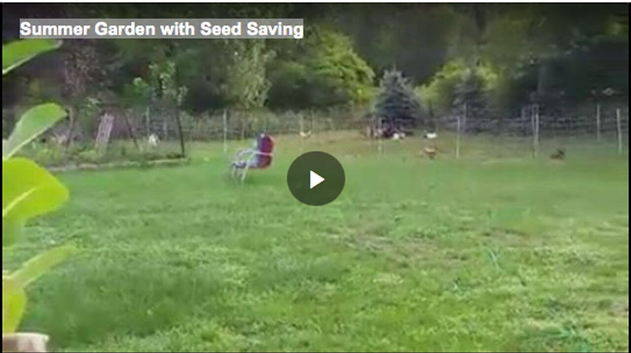 "Seed Saving in the Summer Garden"