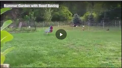 "Seed Saving in the Summer Garden"