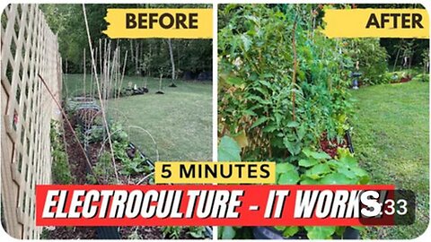 "Unlock Your Garden's Potential: Electroculture Gardening Part 2 - Spectacular Outcomes!"