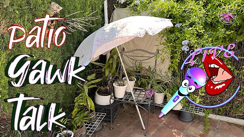 Livestream Comprehensive Patio Tour Orchid Placement Orientation Q&A #ninjaorchids