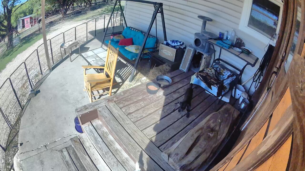 The jump at the end is the best