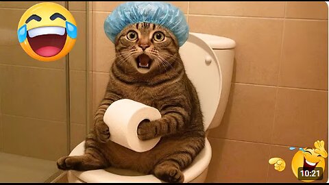 Hilarious CATS 🐱 and DOGS 🐶 Funny Animal Videos 2025 🤣 You Can't Stop Laughing! #