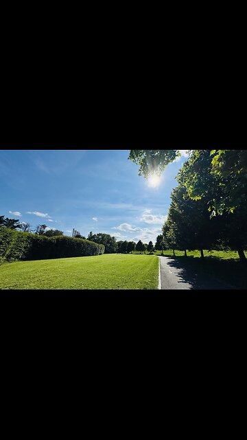 Walking around nature, relaxing atmosphere 🍃🍀 #nature #shorts