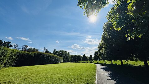 Walking around nature, relaxing atmosphere 🍃🍀 #nature #shorts