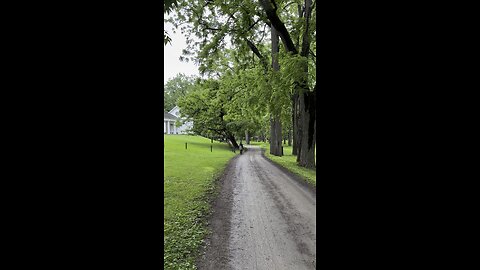 Blennerhasset Mansion back yard view 1