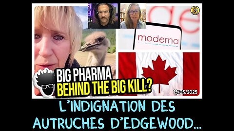 L'indignation des autruches d'Edgewood.
