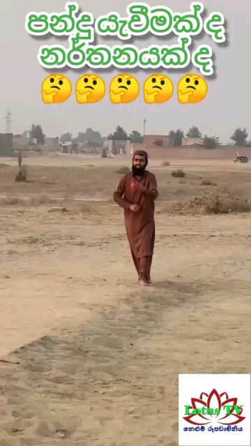 funny cricket bowler