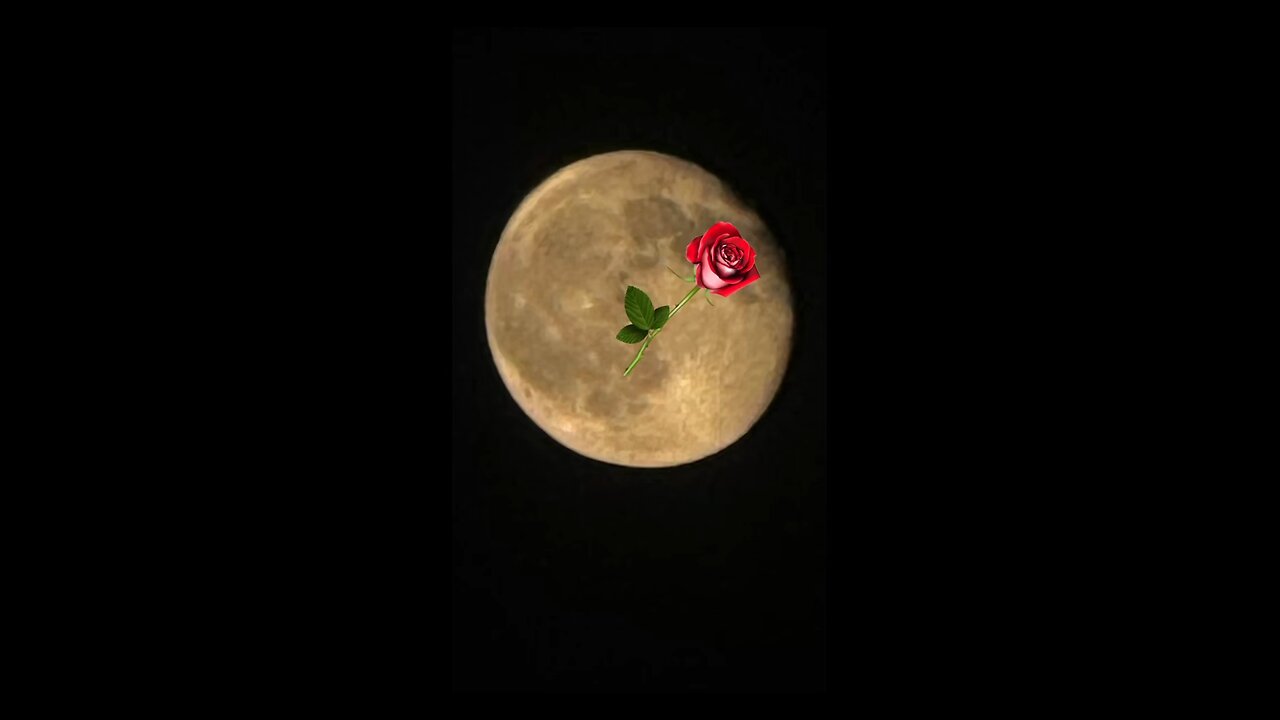 E❤️✨