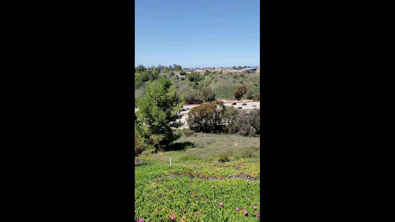 seeing the freeway