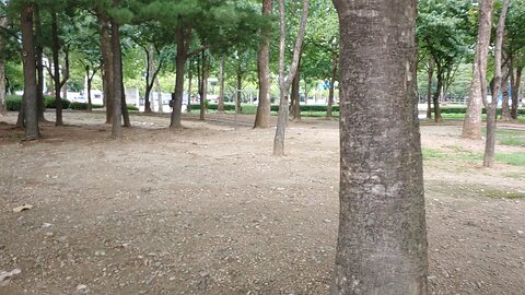 360° 풍경 ,남한의 도심속 흔한 공원
