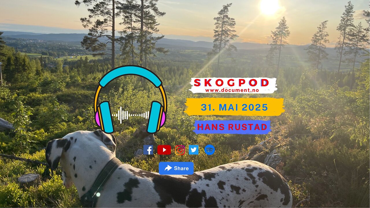 Skogpod 31. mai 2025