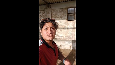 During Unload Janwar Girgya