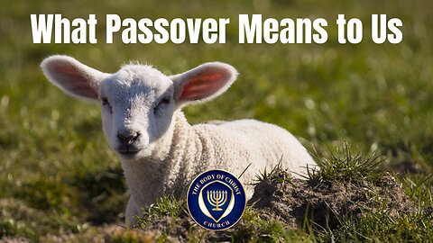 What Passover Means to Us
