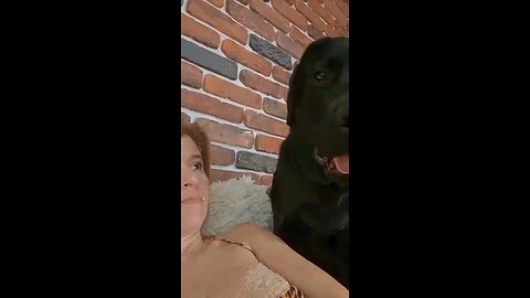Dog Tries to Attack a Woman… What Happens Next Is Shocking! 😳🐶"