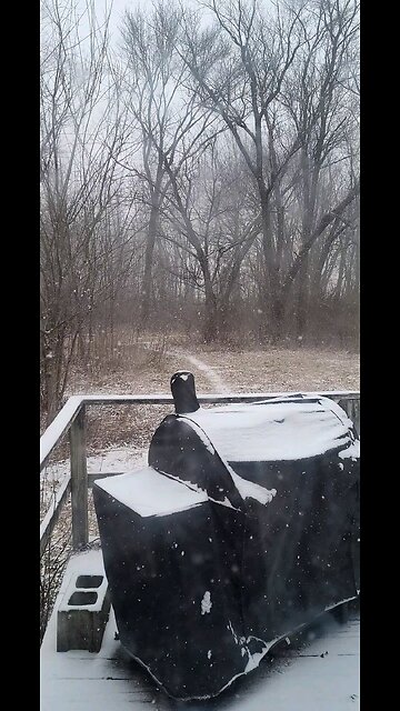 Winter Storm Has Arrived 01 24 2026 In Southern Illinois Temp 8 Degrees Feel Temp Negative 3