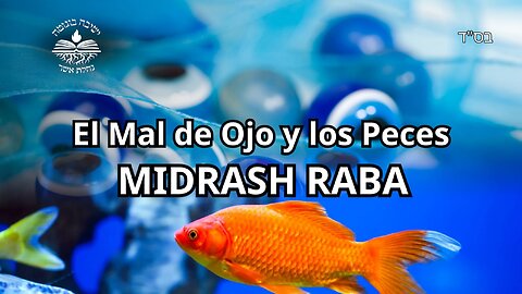 Mal de ojo explicacion del pez Midrash Raba vayeji 97.3