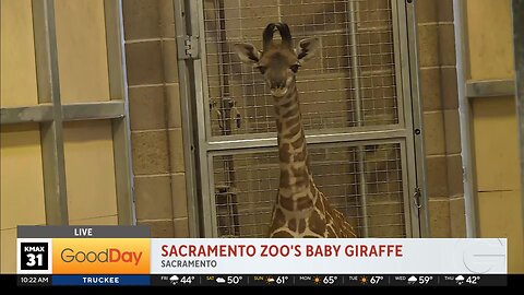 Molly Visits the Zoo to Meet the Newest (and Cutest) Addition!