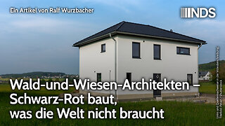 Wald-und-Wiesen-Architekten – Schwarz-Rot baut, was die Welt nicht braucht | Wurzbacher | NDS