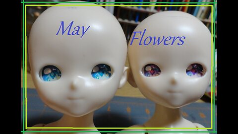 May Flowers