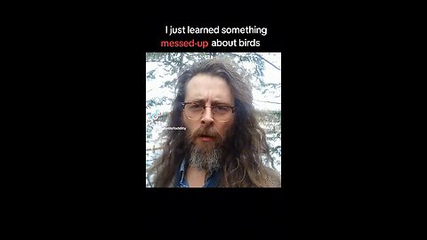 I Just Learned Something About Birds & How They Breathe Differently Than Humans & Why 🐦‍⬛