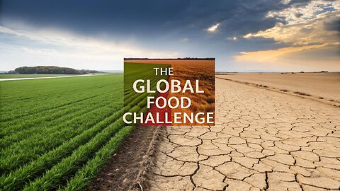 Vaclav Smil’s 'How to Feed the World' – Explained