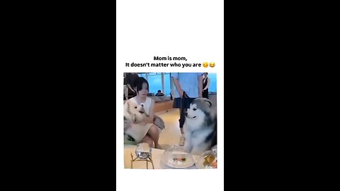 Mom is mom no matter who u are 😂❤✨