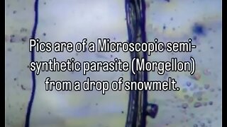 ⚫️⚡️🇺🇸 2026 Snow Under Microscope ▪️ CIA Military Air, Soil Toxification & Weather Manipulation ▪️ Why's Trump still allowing this❓👀