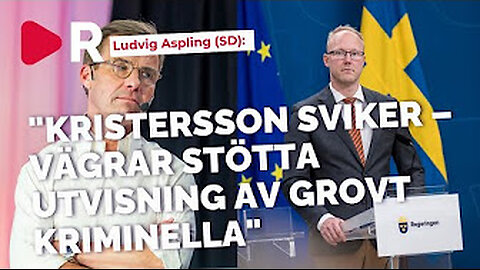 (M) sviker (SD).