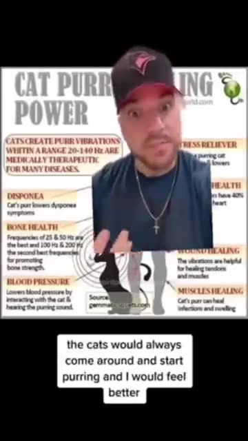 A..Cats...Purrr...Can..Heal..🐾🐾