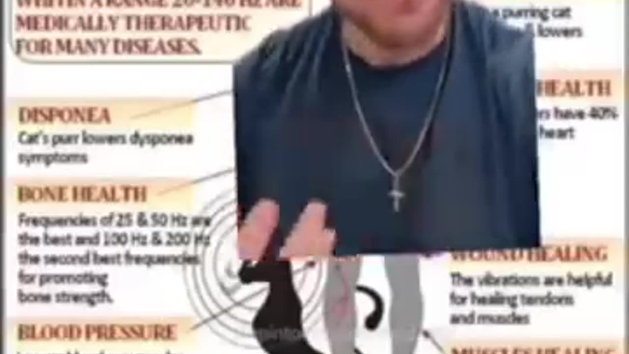 A..Cats...Purrr...Can..Heal..🐾🐾