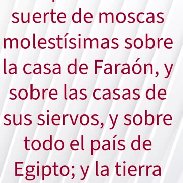 "La Plaga de las Moscas" exodo 8:24 #shorts #youtube #ytshorts #jesus #views #shortvideo #yt