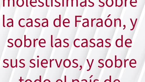"La Plaga de las Moscas" exodo 8:24 #shorts #youtube #ytshorts #jesus #views #shortvideo #yt